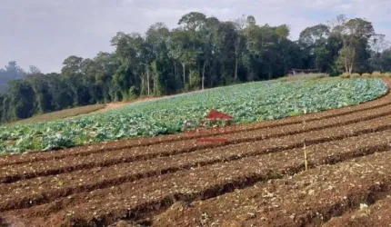 Terreno  Minha Casa, Minha Vida à venda, Jardim São Marcos, Itapevi - TE0006.