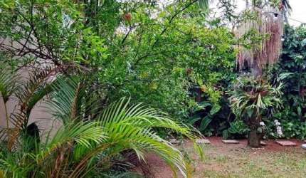 Lote/Casa num terreno de 260m2, no Pestana, do lado da Cidade das Flores - pestana