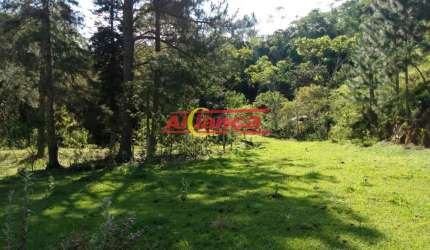 SITIO ESTRELA DE DAVI CAMPININHA ATIBAIA