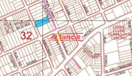 EXCEPCIONAL LOTE EM GUARULHOS DE 900M² - VILA GALVÃO / GUARULHOS