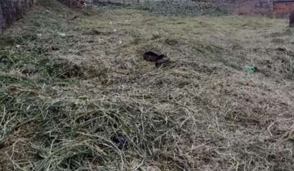 Terreno para Venda em Mogi das Cruzes, Vila Horizonte