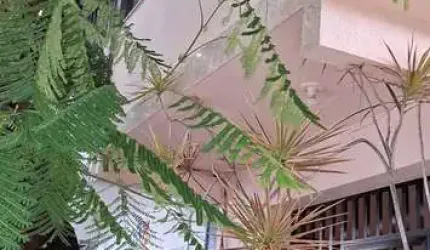Casa Independente, São Bento, Cabo Frio.