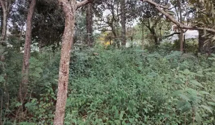 Terreno à venda, 586 m² por R$ 390.000,00 - Gramado - Cotia/SP