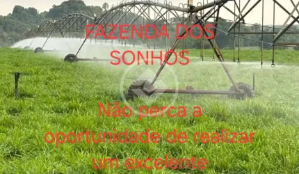 FAZENDA RIBAMAR FIQUENE -MA - 2.234 HA codigo: 90506