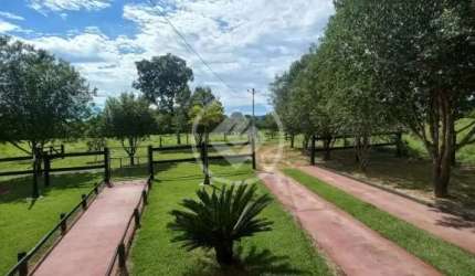 FAZENDA NO MUNICIPIO DE FAINA GO codigo: 114155
