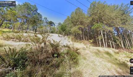 Área para Venda em Ribeirão Pires, Ouro Fino Paulista