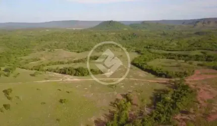 Fazenda à venda na zona Rural da cidade de Caiaponia-GO. codigo: 63960