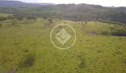 Fazenda na Zona Rural da cidade de Caiaponia-GO. codigo: 63929