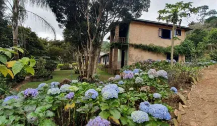 Fazenda / Sítios / Chácaras com 3 quartos à venda em Barão De Cocais