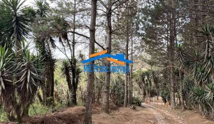 Km 36 Rap. Tavares - Área para Incorporação ou Chácara 18.455m²
