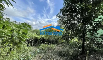 Lote 907,00 m² - Bolsão FECHADO no Miolo da Granja Viana!