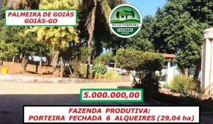FAZENDA EM PALMEIRAS DE GOIÁS/GO - 1KM E MEIO DE FRENTE PRA BR/GO