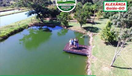 FAZENDA TOP EM ALEXÂNIA/GO- DUPLA APTIDÃO E ABUNDÂNCIA DE ÁGUA-3 NASCENTES