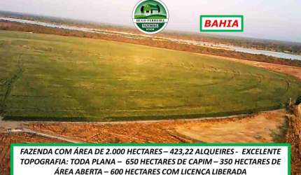 FAZENDA TOP NA BAHIA-PLANA E ÀS MARGENS DA BR 242 - ÓTIMO INVESTIMENTO