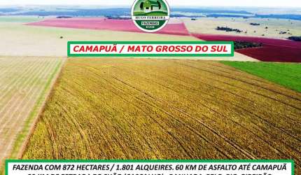 FAZENDA EM CAMAPUÃ/MS-DUPLA APTIDÃO-TOPOGRAFIA PLANA