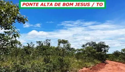 FAZENDA PONTE ALTA DE BOM JESUS/TO-IDEAL PARA SOJA-ESTRUTURADA