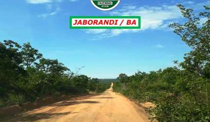 FAZENDA BANHADA PELO RIO CRISTALINO-DUPLA APTIDÃO-BOA TOPOGRAFIA