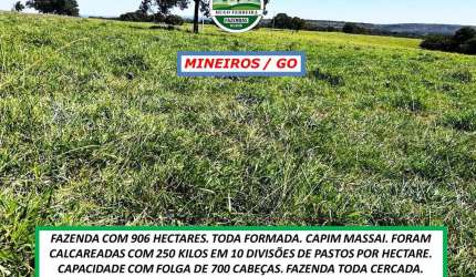 FAZENDA COM TOPOGRAFIA PLANA E ONDULADA-TODA CERCADA-ESTRUTURADA