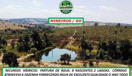 FAZENDA DUPLA APTIDÃO-ESTRUTURADA-ÓTIMA TOPOGRAFIA