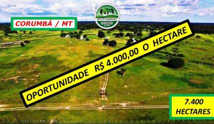 FAZENDA PARA PECUÁRIA -TODA CERCADA- PERTINHO DO ASFALTO DA BR-262