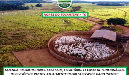 FAZENDA DUPLA APTIDÃO- ARGILA 20%-MEGA ESTRUTURA-70% PLANA