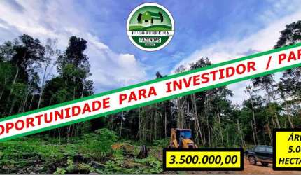 FAZENDA PRONTA PARA PLANTAR AREA DE RESERVA E TODA ESTRUTURADA
