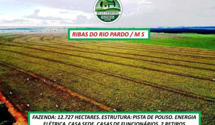 FAZENDA  COM ARGILA 12 À 18% ÀS MARGENS DA RODOVIA MS-338 ESTRUTURADA