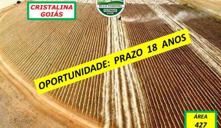 FAZENDA ESTRUTURADA IRRIGADA POR PIVÔS  PERTINHO DE BRASILIA PARCELADA
