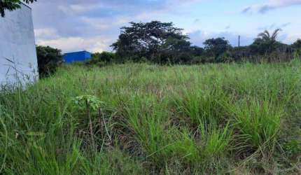 Terreno à venda, 250 m² por R$ 75.000,00 - Estância São José - Peruíbe/SP
