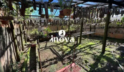 Casa à venda, 3 quartos, 1 suíte, 1 vaga, Abadia - Uberaba/MG