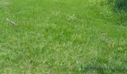 Terreno no Condomínio Valville 2 - Santana de Parnaíba