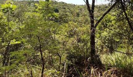 Terreno à venda, 77346 m² por R$ 5.800.950,00 - São Sebastião das Águas Claras - Nova Lima/MG