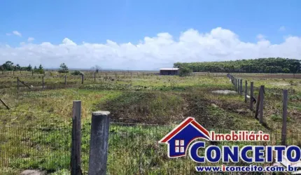 T312 - Lote propício para ponto comercial localizado na RS-786