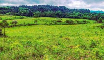Grande oportunidade, Sítio à venda, 70.000 m²- Serra Grande - Gramado/RS