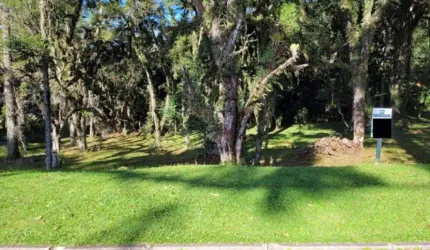 Terreno Residencial à venda, Altos Pinheiros Canela