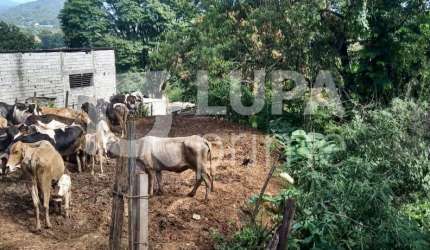 TERRENO RESIDENCIAL COM 1.000M² PARA VENDA, CABUÇU, GUARULHOS