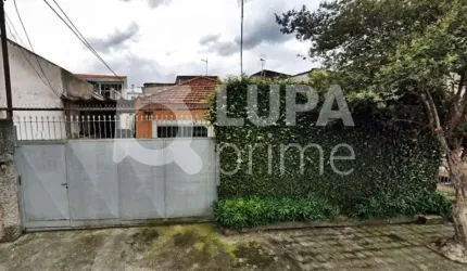 TERRENO RESIDENCIAL COM 350M² PARA VENDA, PARQUE EDU CHAVES, SÃO PAULO