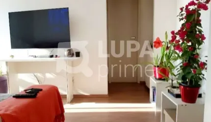 Apartamento com 1 dormitório á venda Santana São Paulo