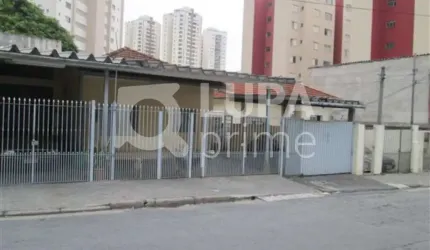 TERRENO - MANDAQUI