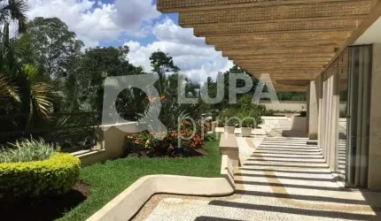 Apartamento com 3 dormitórios sendo 1 suíte para locação na Vila Albertina.