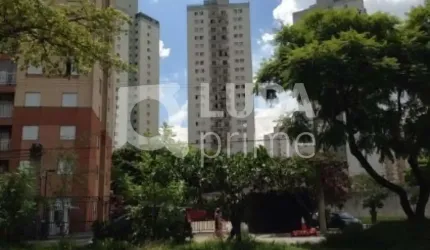 Cobertura- Parque Novo Mundo