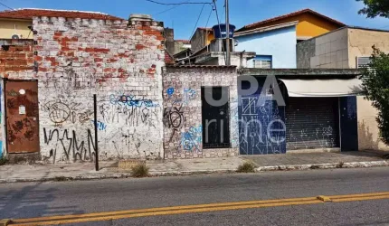 CASA PARA RENDA À VENDA NA VILA EDE