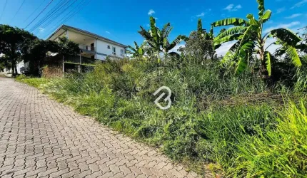 Terreno à venda, 354 m² por R$ 328.600,00 - Encosta da Floresta - Sapucaia do Sul/RS
