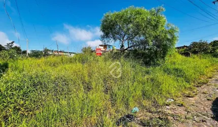 Terreno à venda, 158 m² por R$ 70.000,00 - Vargas - Sapucaia do Sul/RS