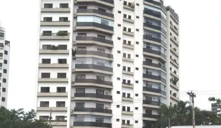 Apartamento com 3 quartos à venda em Jardim Avelino - SP