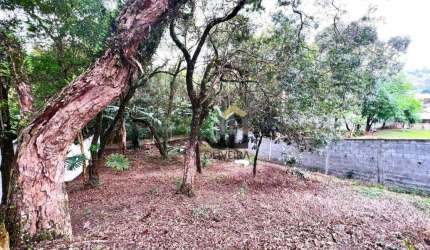 Terreno à venda, 728 m² por R$ 250.000,00 - Vitória Régia - Atibaia/SP