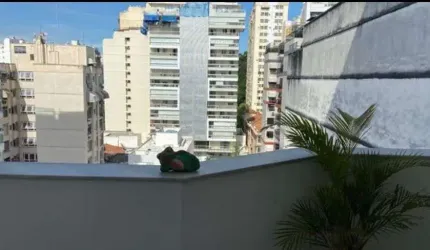 Ótimo apartamento na Roberto Silveira 358 em Icaraí