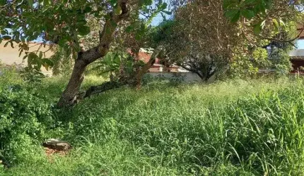 Excelente Terreno na Rua dos Babaçus em Itaúna - Saquarema - RJ.