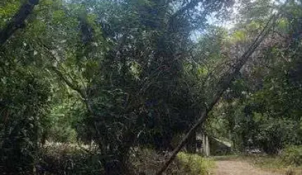 Área de quase 8 mil M2 podendo desmatar até 60 por cento da Área.