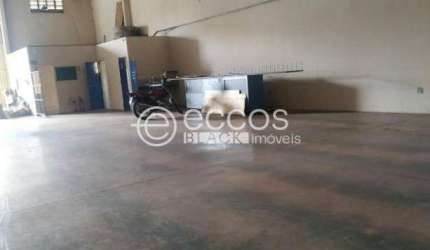 Barracão para aluguel, 1 quarto, Minas Gerais - Uberlândia/MG
